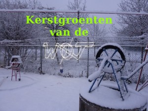 kerstgroenten